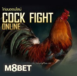 cock fight m8bet