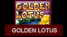 goldclub golden lotus